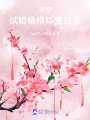 清穿:试婚格格娇宠日常
