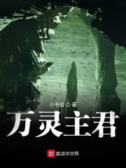 宋先生的小妻子
