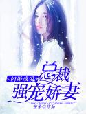 闪婚成爱:总裁强宠娇妻