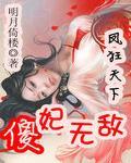 凤狂天下:傻妃无敌
