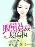 训妻有方,腹黑总裁太偏执