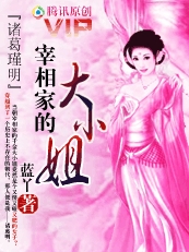 宰相家的大小姐:诸葛瑾明(完)