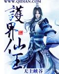 护界仙王2
